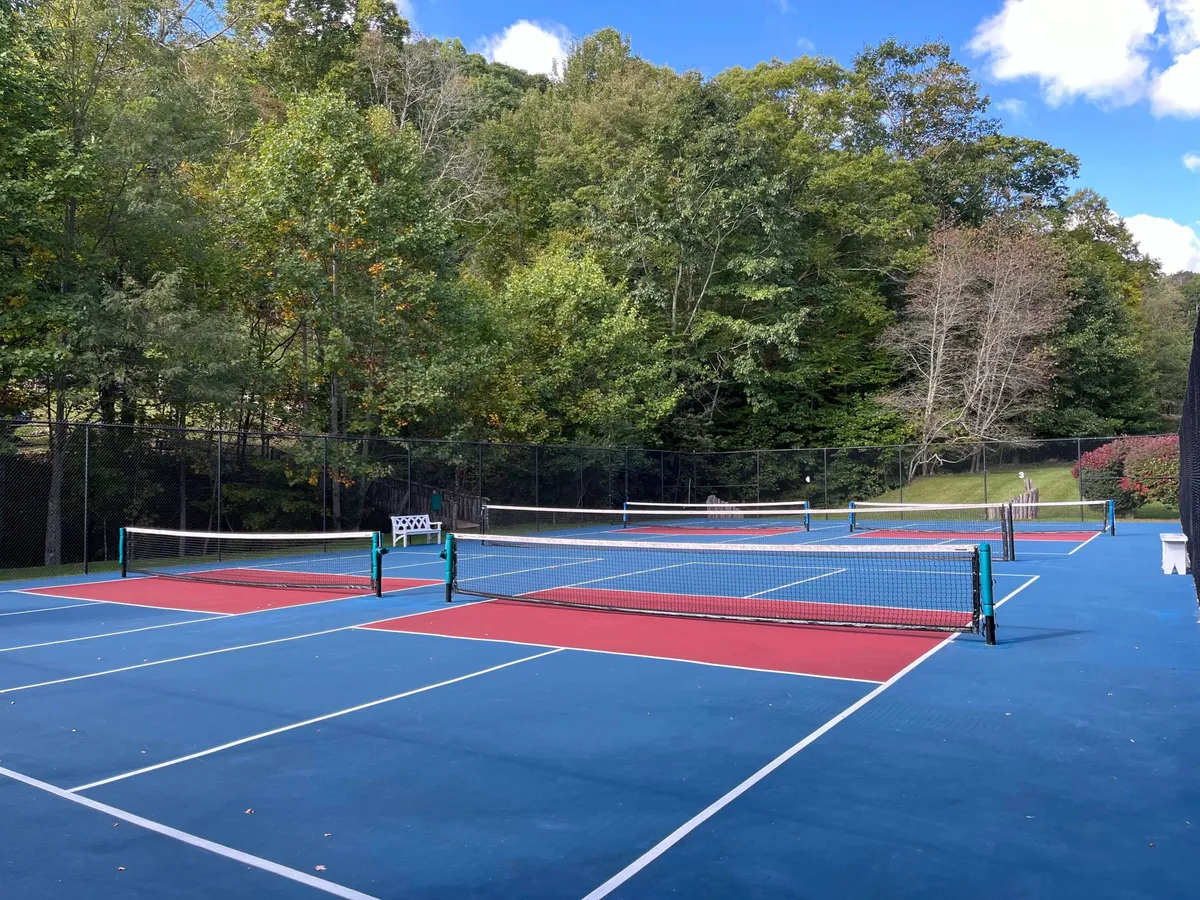 A set of well-maintained tennis courts bordered by lush trees, featuring bold blue and red court surfaces. The courts evoke an energetic and social atmosphere, ideal for friendly matches or lessons.