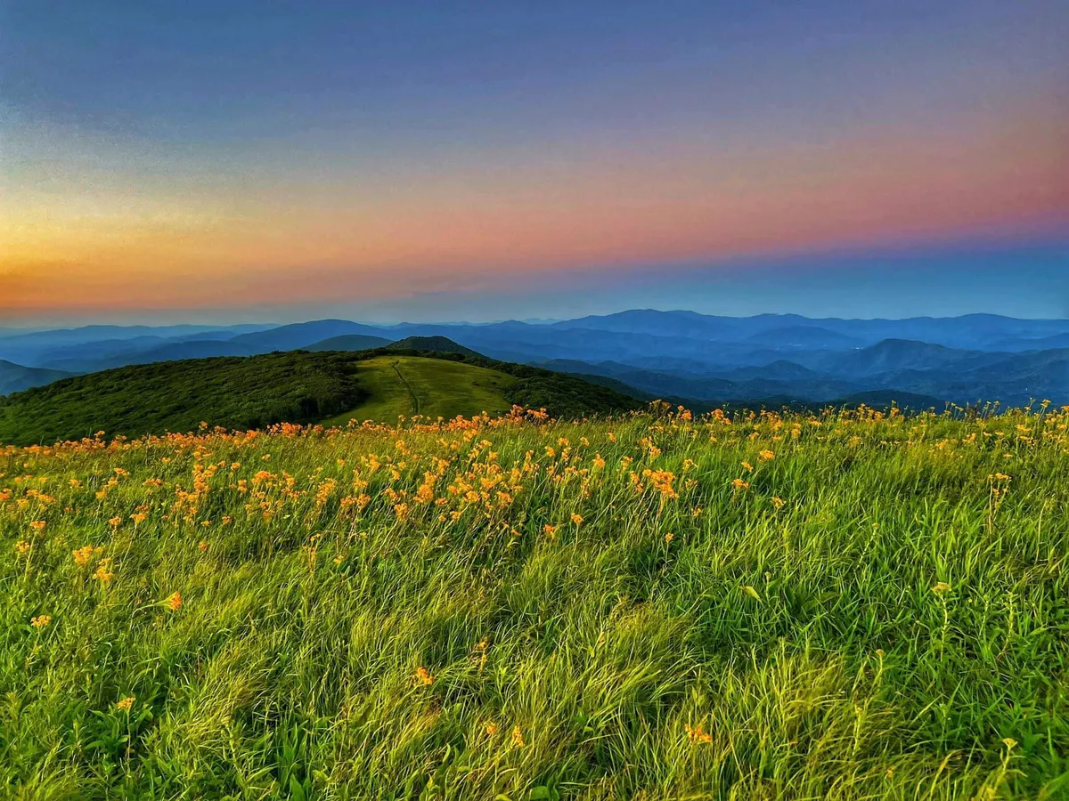 A sweeping view of rolling hills blanketed in vibrant wildflowers, with distant mountains under a glowing sunset sky. The landscape evokes the scenic routes and natural splendor that typify the Blue Ridge Parkway.